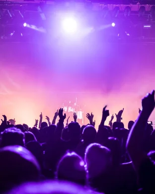 Live concert by Mo - Artist