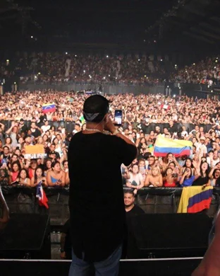 Giant Walking Robots