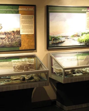 Oddities and Curiosities Expo