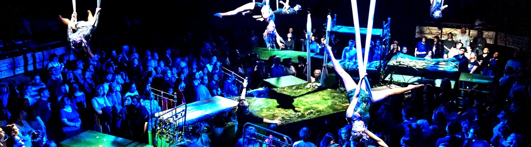 A Midsummer Night's Dream