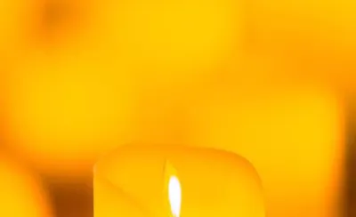 Candlelight: The Best of Joe Hisaishi