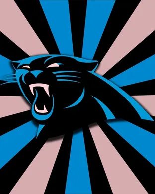 Carolina Panthers vs. Denver Broncos