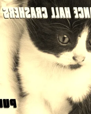 Dance Hall Crashers, The Aquabats & Five Iron Frenzy