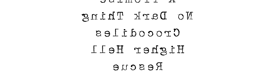 Echo and The Bunnymen