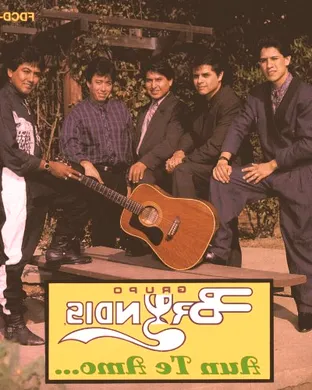 Grupo Bryndis