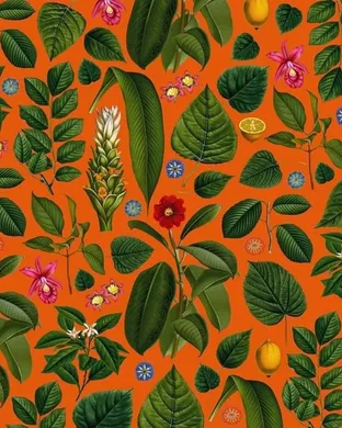 Kings Kaleidoscope Denver