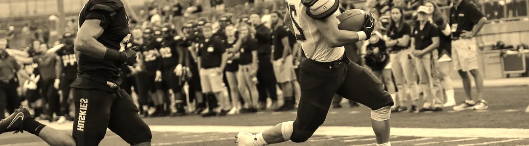 Minnesota Duluth Bulldogs