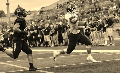 Minnesota Duluth Bulldogs