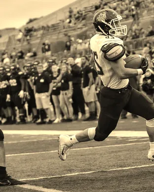 Minnesota Duluth Bulldogs