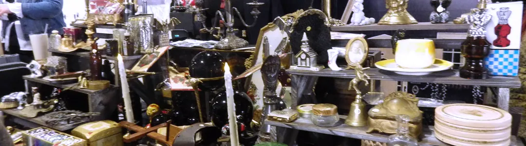 Oddities and Curiosities Expo