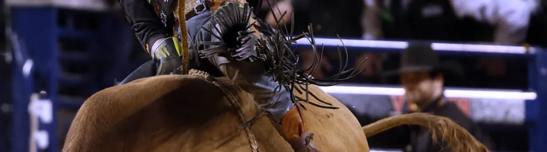 PBR Bull Riding