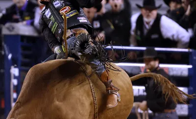 PBR Bull Riding