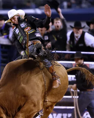 PBR Bull Riding