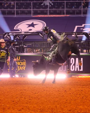 PBR - Professional Bull Riders