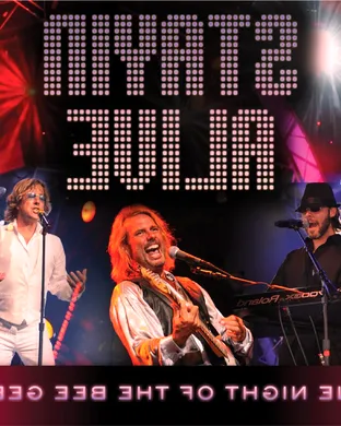 Stayin' Alive - One Night of the Bee Gees