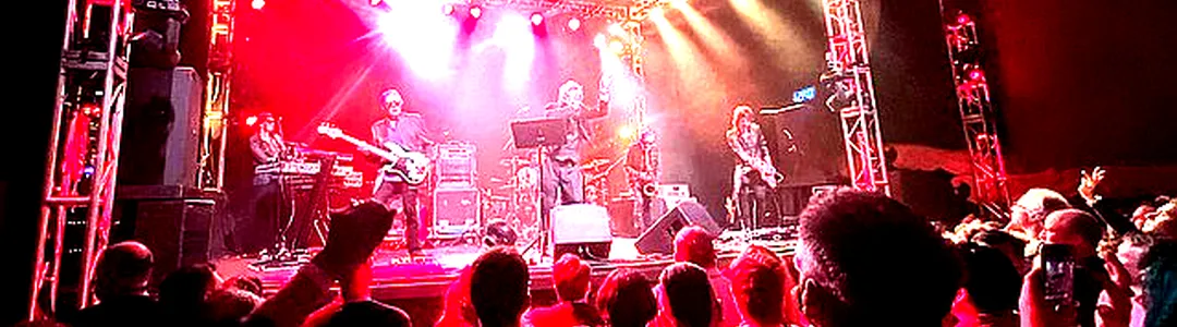 The Psychedelic Furs