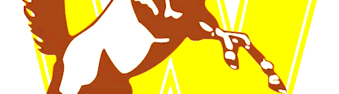 Western Michigan Broncos