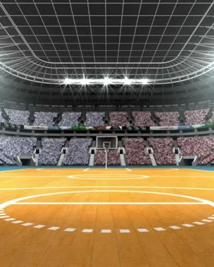 Westminster College Griffins Basketball