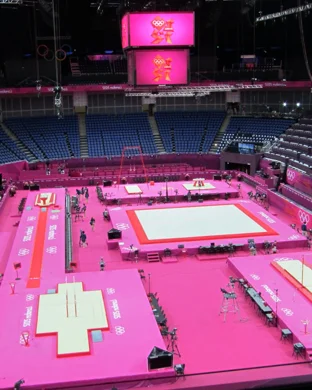 Arizona State Sun Devils Gymnastics