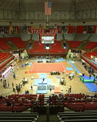 BYU Cougars Gymnastics