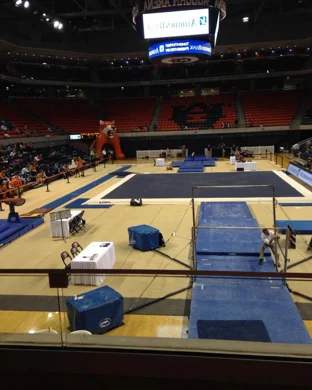 Utah Utes Women's Gymnastics