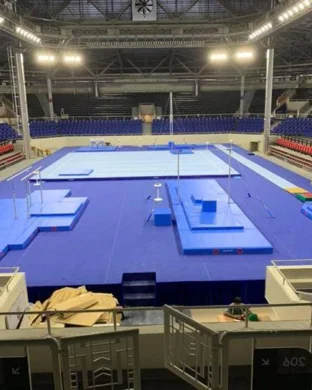 Arizona State Sun Devils Women's Gymnastics vs. Denver Pioneers